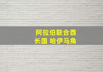 阿拉伯联合酋长国 哈伊马角